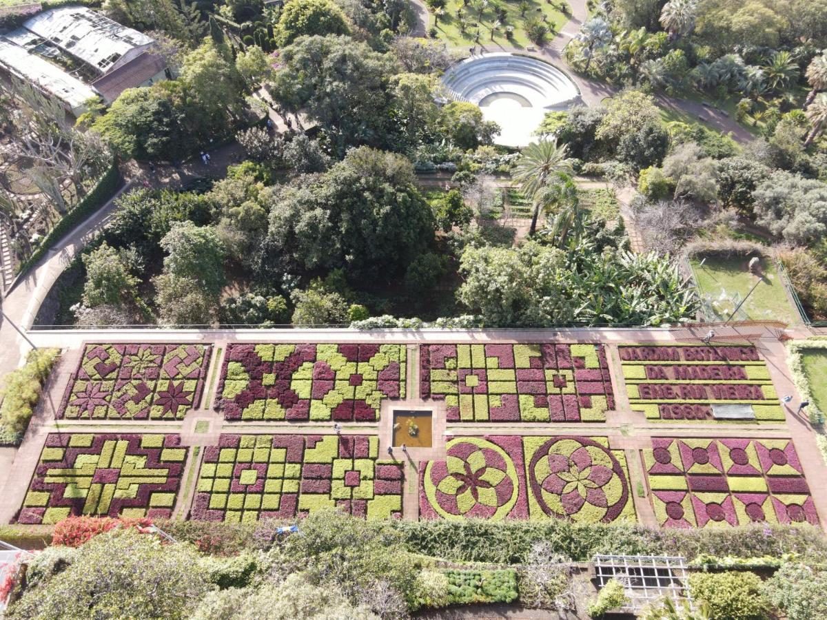Sea And Sun 4 You - Jardins Da Imperatriz Funchal  Kültér fotó